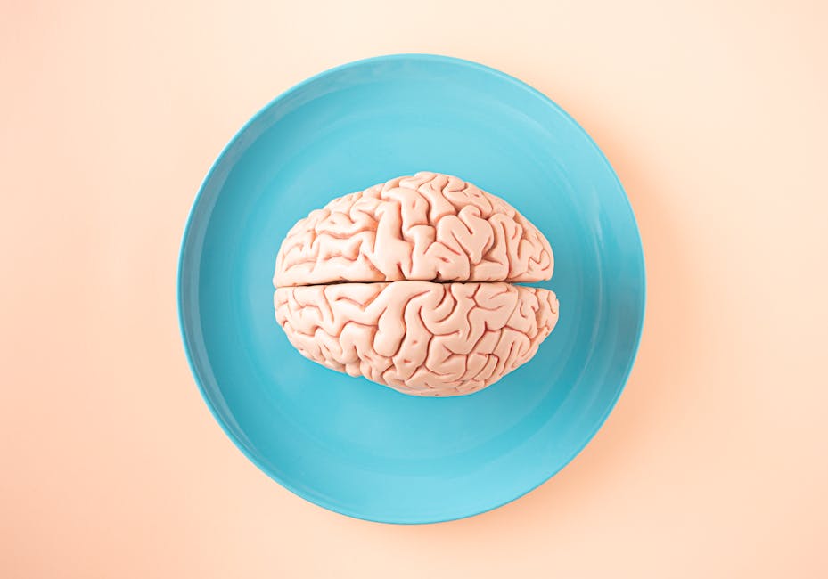 The Gut-Brain Axis: What the Research Actually Shows
