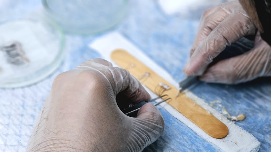 Hair Transplant Surgery: FUE vs. FUT, What the Evidence Shows