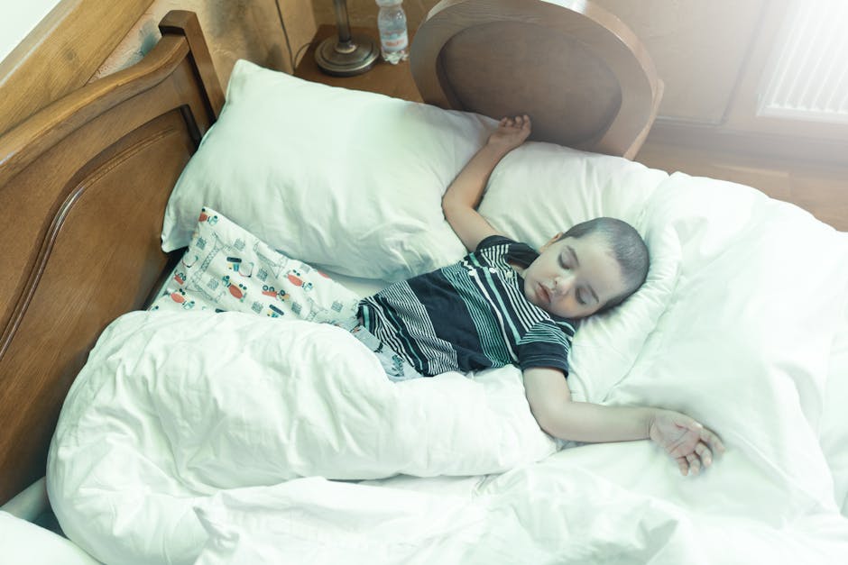 Sleep Stages and Memory: How the Brain Consolidates What You Learn